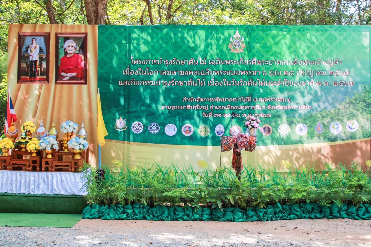 กองบิน ๑ ร่วมสืบสาน รักษา ต่อยอด ผืนป่าไทย ในงานวันรักต้นไม้ประจำปี